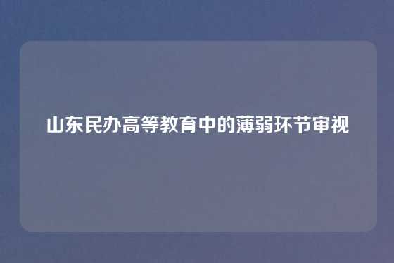 山东民办高等教育中的薄弱环节审视